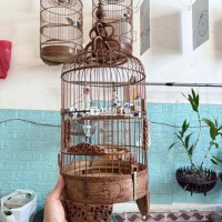 lồng khuyên đục vác xưa