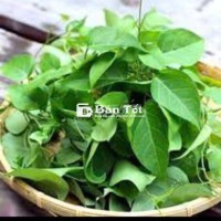 Cây lá Giang nấu lẩu gà