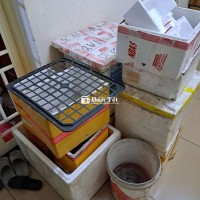 Cho tặng Thùng xốp, thùng trồng rau, cây cảnh