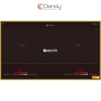 Bếp điện từ cao cấp DY-B212 rẻ điện máy xanh