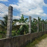 BÁN GẤP LÔ ĐẤT 14X34M, GIÁ CHỈ 1,5 TỶ – ĐƯỜNG LÝ THỊ CHỪNG, CỦ CHI 🔥