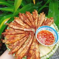 CÁ LAO KIẾNG ƯỚP SẢ 95K/KG