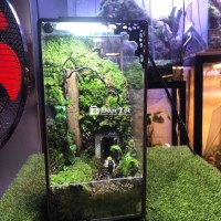 Thanh lý  tiểu cảnh terrarium trang trí để bàn