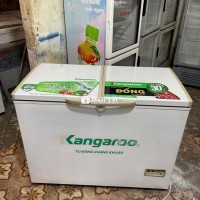 tủ đông kgarouu 350l 2 chế độ giàn đồng