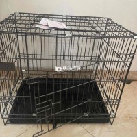 Pass chuồng chó ở HN new 80%