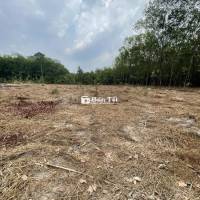 BÁN ĐẤT 2 MẶT TIỀN ĐƯỜNG – BÌNH MỸ BẮC TÂN UYÊN – SÁT ĐƯỜNG ĐT 742