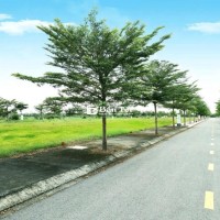 CƠ HỘI VÀNG CHO NHÀ ĐẦU TƯ THÔNG THÁI!