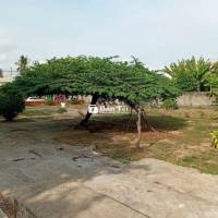 Chính chủ cho thuê lô đất mặt tiền từ 10.000.000 - 20.000.000