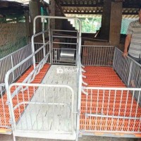 CHUỒNG HEO NÁI ĐẺ GIÁ SIÊU RẺ!!