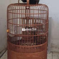 Ông chú nhờ bán hộ e mi thuần