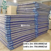 Nệm Cao Su Non Dày 10cm Mới 99%