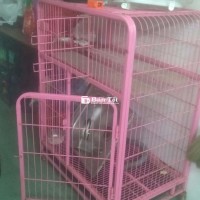 Lồng chó mèo to có bánh xe thiện lợi