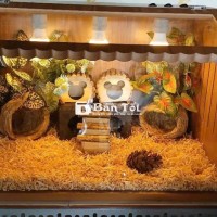Chuồng Gà Rutin – Thiết Kế Thông Minh, Sạch Sẽ 🐣