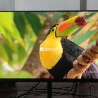 Màn hình Xiaomi 24 inch