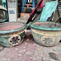 Chậu cây