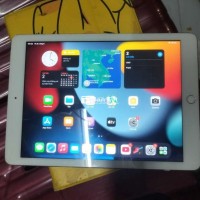 iPad air2 4G/128gb
