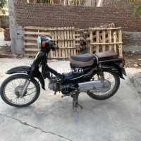 Xe cup 50 không dùng cần bán