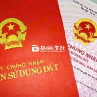 Cho thuê đất làm nhà trọ. Hoặc kho