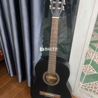 Đàn Guitar Thương Hiệu Bỉ - Stagg Model C430 M BLK  
