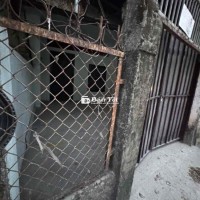 Cho thuê nhà hẻm xe hơi Lê Đức Thọ, P.13, Gò Vấp