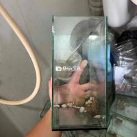 hồ bêta đẹp kính dày