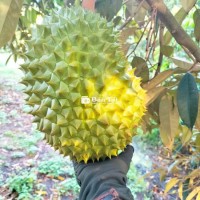 Tuyển tạp vụ biết nấu ăn + nhân viên phục vụ