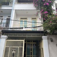 Cho thuê nhà mặt tiền đường số Tân Quy, Quận 7  