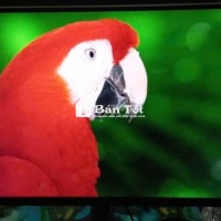 【Báo giá Máy Tính-CN-Điện Thoại】 Bán 2 chiếc màn hình tính 24" cùng 27"HKC (Hàn Quốc Chất)Luyện trên bản thử với giá hời🔥