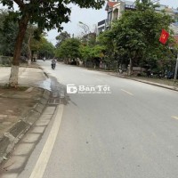 🌟 Lô Góc Phụng Châu – Đẹp Như Mối Tình Đầu