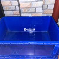 Hồ Cá 60x41x31cm - Giá Rẻ - Quận 7