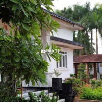 Biệt Thự 2389m2 TP Hồ Chí Minh giá giảm sâu cần ván gấp