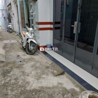 Nhà cho thuê nguyên căn tại hẻm 2683 Phạm Thế Hiển, P7, Q8  