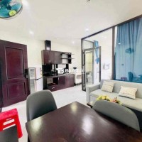 SIÊU PHẨM CĂN HỘ 1PN Ở ĐẢO VIP HÒA XUÂN