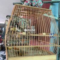 Chào mọi người, mình đang tìm kiếm những chú chim chào mào chất lượng để tham gia vào cộng đồng chim cảnh. Những chú chim đã qua quá trình chăm sóc kỹ lưỡng, đảm bảo sức khỏe và sẵn sàng thi đấu. Nếu bạn có chim chào mào đẹp, khỏe, hãy liên hệ ngay với mình nhé! Giá cả sẽ thương lượng tùy theo chất lượng chim. Mong nhận được sự ủng hộ từ các bạn!