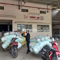 🏭 Nệm tại xưởng, Freeship tận nhà - Nệm cao su non Thắng Lợi & American 🏡