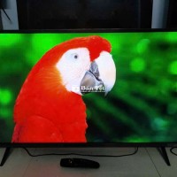 Smart TV LG 43 inch Đời Cao SX 2021 4K Chuẩn Hóa  