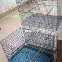 Thanh lý Lồng chim 60x40  
