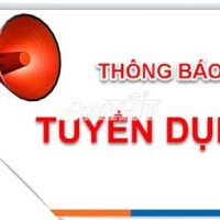 Tuyển Nhân Viên Văn Phòng