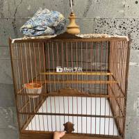 Lồng Gỗ Mùn Mới 99% - Bán Chim Dư Lồng  