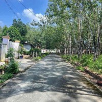 Kẹt tiền bán lại lô đất 300m² có thổ cư giá 495 triệu, mặt tiền đường nhựa  