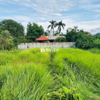 ĐẤT LỚN THÔNG SỐ ĐẸP ĐƯỜNG VƯỜN LÀI AN PHÚ ĐÔNG QUẬN 12 NGANG 9.39