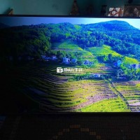 Bán 1 Ti vi LG 65 inh