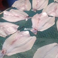 Khô Cá Dứa 1 Nắng Cần Giờ - Thơm Nức, Dẻo Ngon, Đậm Đà Hương Vị  