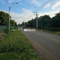 BÁN ĐẤT TRỒNG CÂY LÂU NĂM - SỔ HỒNG CHÍNH CHỦ - MẶT TIỀN ĐƯỜNG
