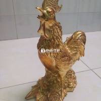 Gà đồng dát vàng 9999