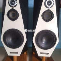 Loa Độc Lạ Đẹp Bass 25 Từ Neo Coil 76 Siêu Khủng  