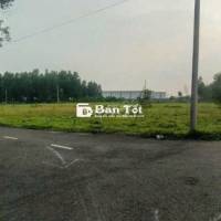 Bán 3500m2 đất thổ cư Long Đức gần SÂN BAY Long Thành chỉ 6,5 tỷ