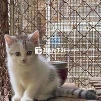 2 Bé ALN Đáng Yêu Cần Tìm Nhà Mới  