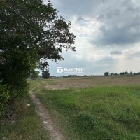 đất thổ cư xã Tân Mỹ, Đức Hoà, Long An