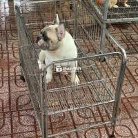 khách gửi không lấy bán thanh lý lấy lại tiền ăn